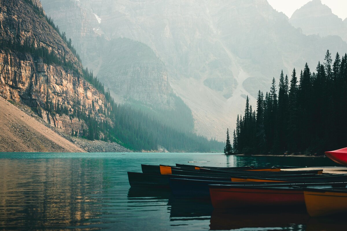 ali-kazal-pO85ZwhAGsw-unsplash