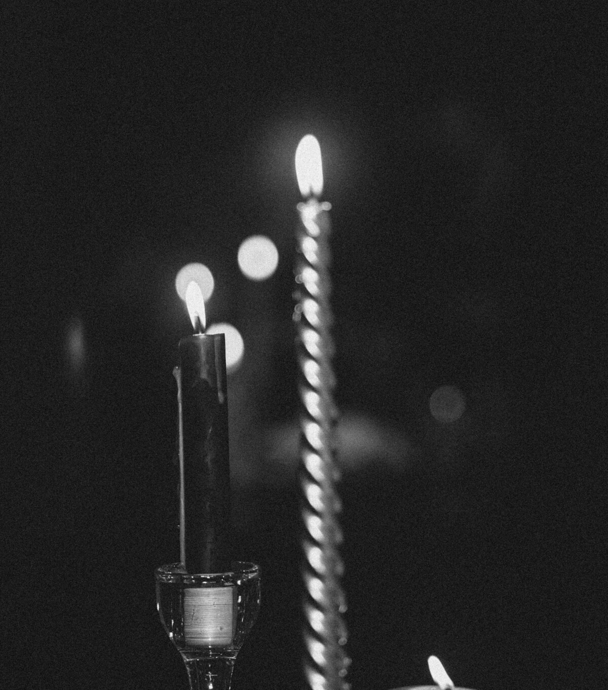 beccameyerphoto-01671-2