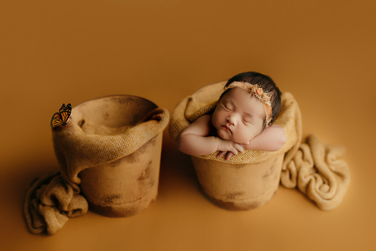 twin-loss-newborn-photography