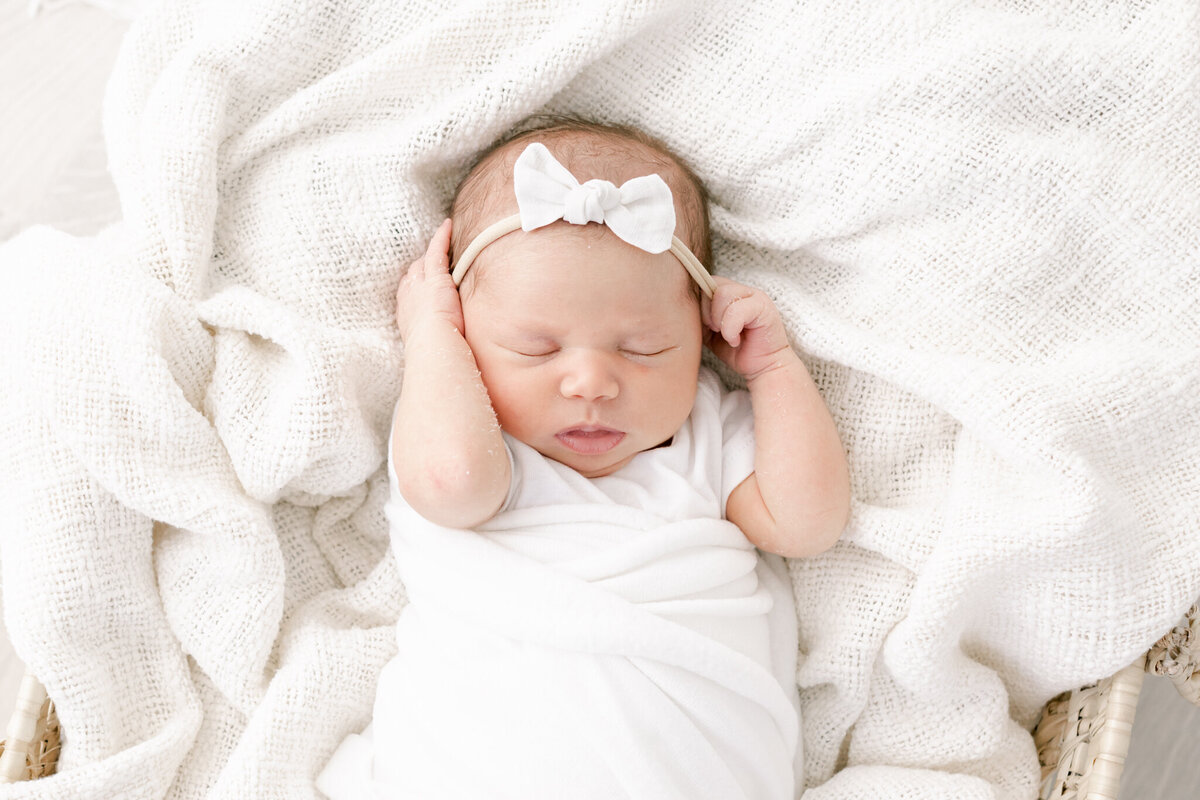Boston Newborn Photographer - Molly Katherine Photography