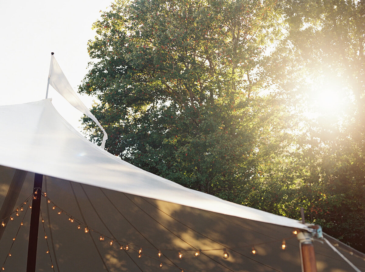 Engaged couple kisses each other at NC Museum of Art
