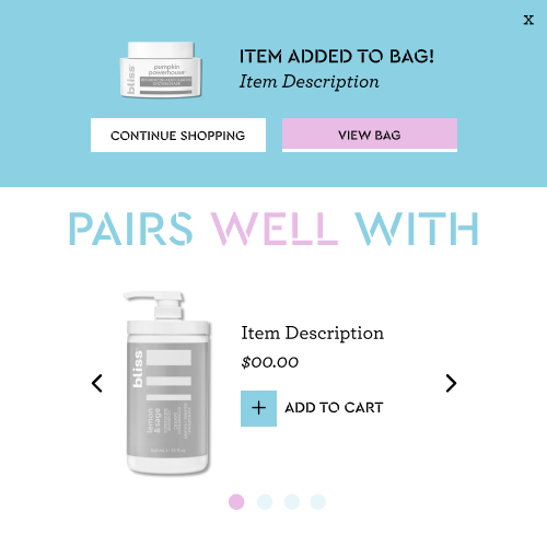 2 Bag_Rebuy Design Brief_Bliss Widget
