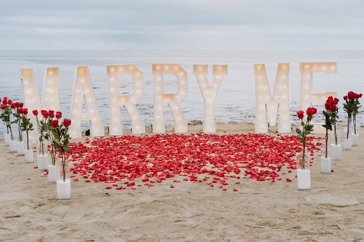 terranea-proposal-engagement-wedding