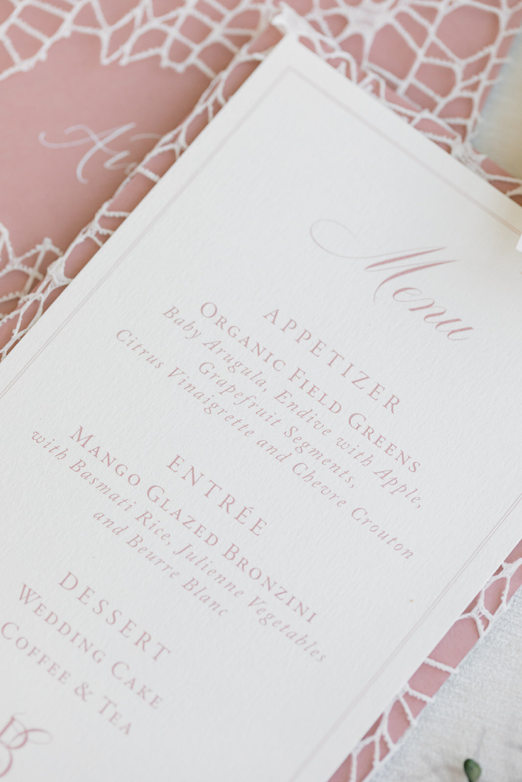 menu-lace-net-coastal-pink