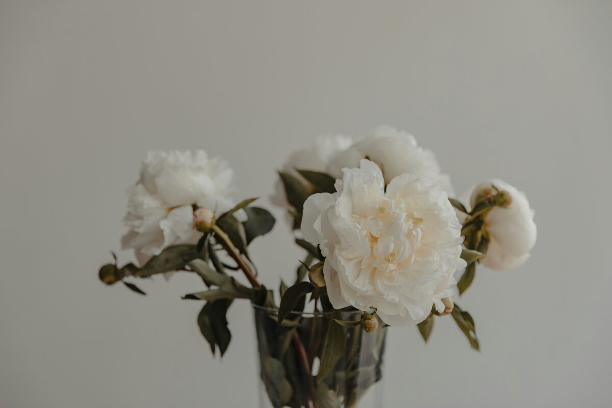patrick-langwallner-w-vai3wEs-s-unsplash