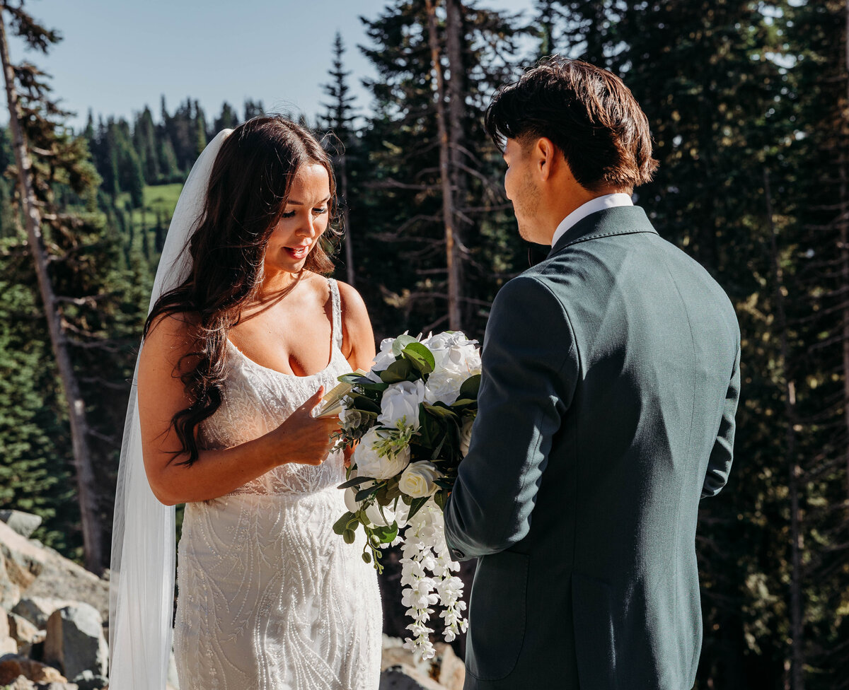 Mount Rainier, Washington Elopement-8346