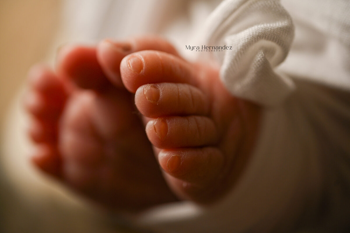 BabyNathanEduardo-27