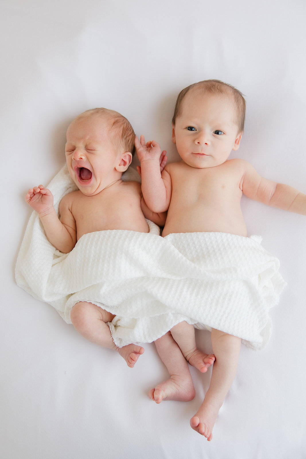 Baumgardner_Newborn_024_websize
