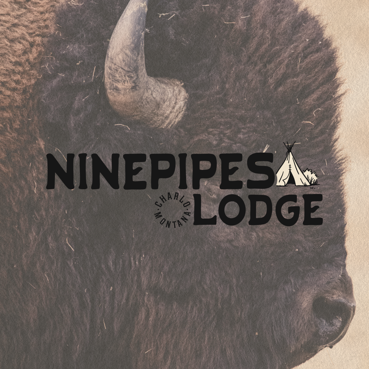 Ninepipes Feed3