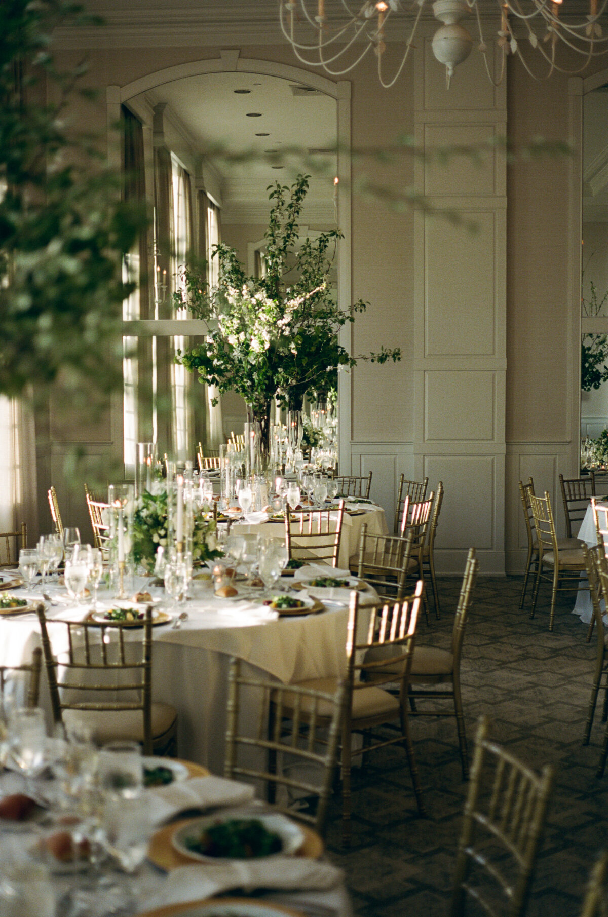 kodak_professional_portra_400_04_28_2025_000239160016