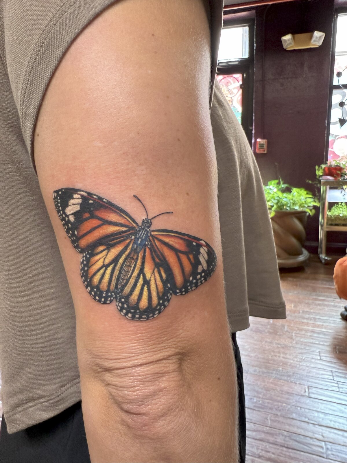 Butterfly