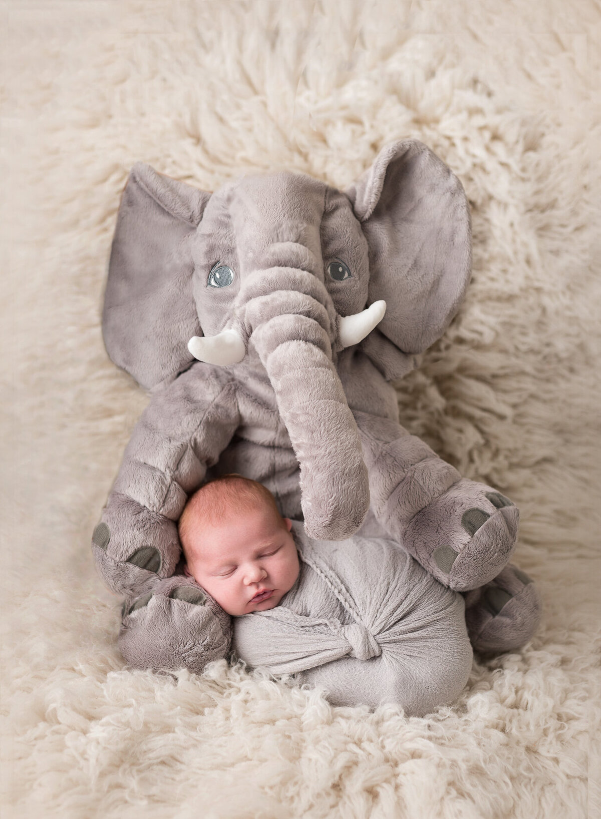 Newborn in a creative elephant photoshoot by Laura King Photography