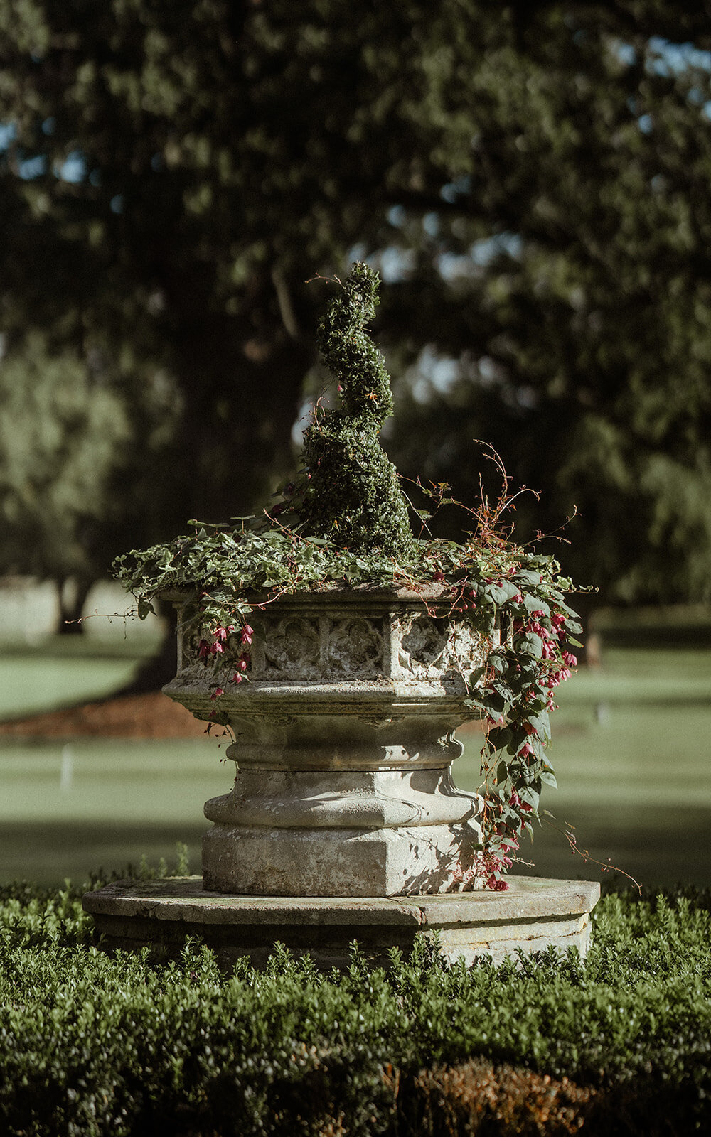 "Explore artistic wedding photography with a focus on iconic venues and natural beauty."