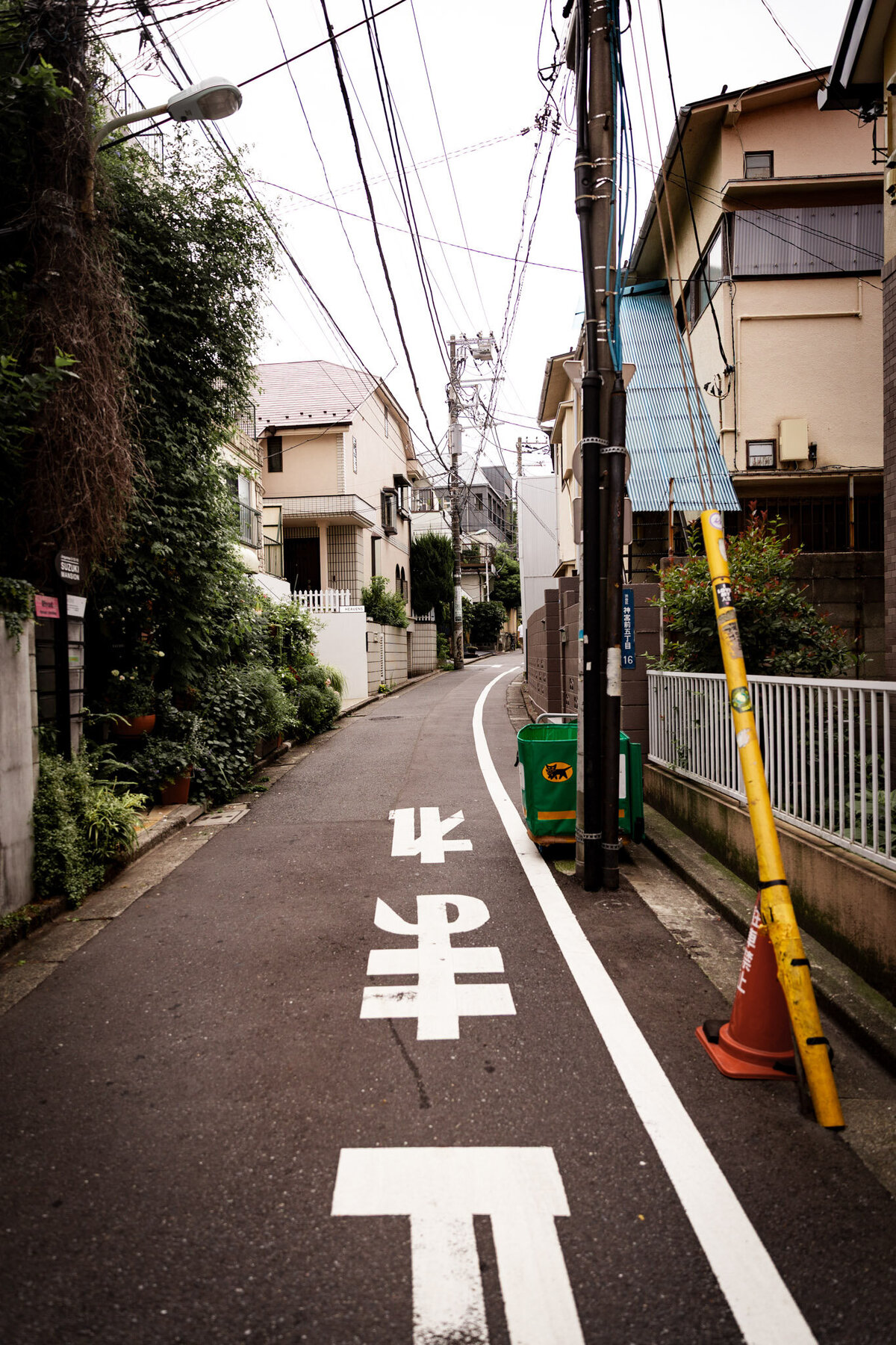 Japan for Website-01