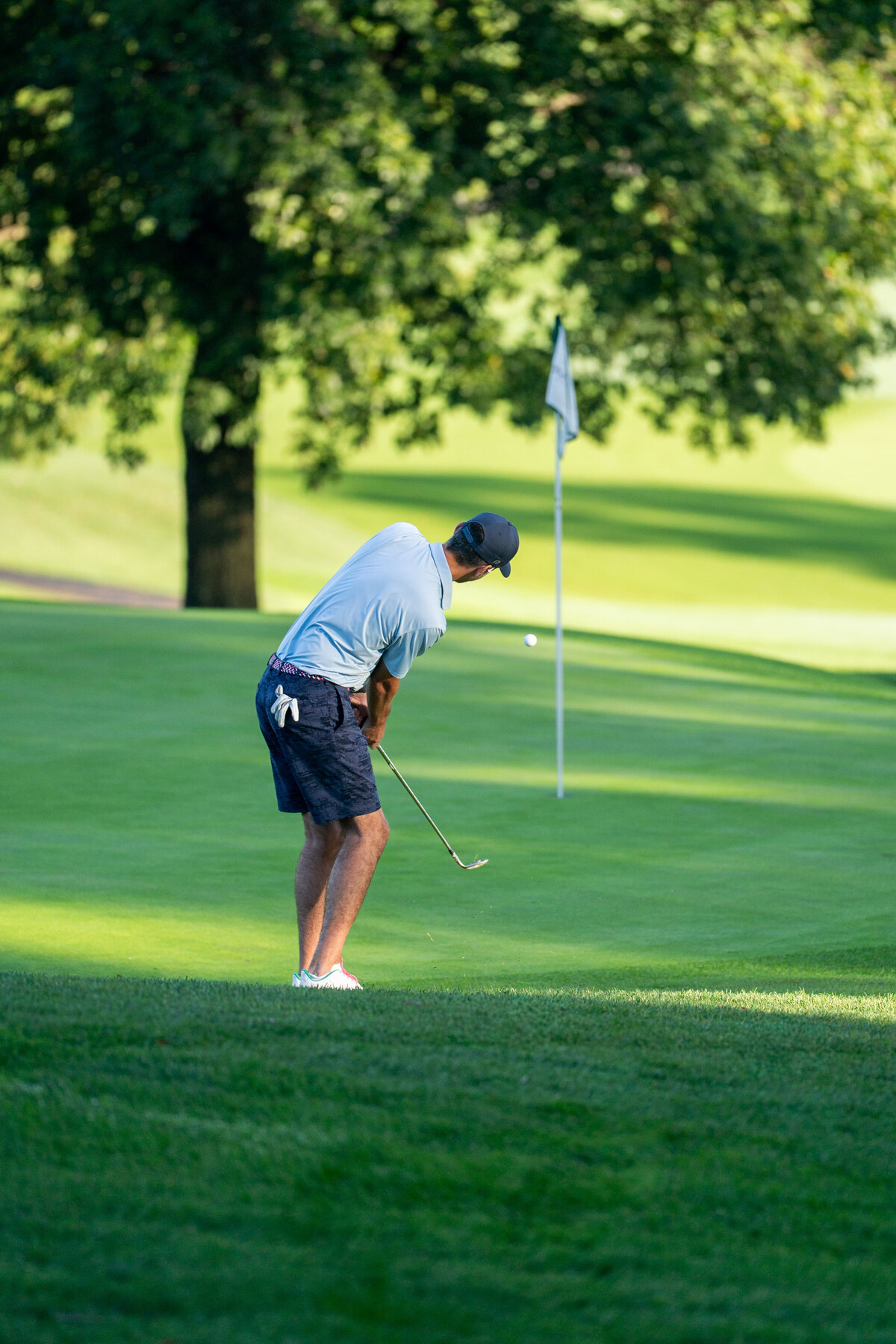 PINEY_BRANCH_WEB_MM-8090