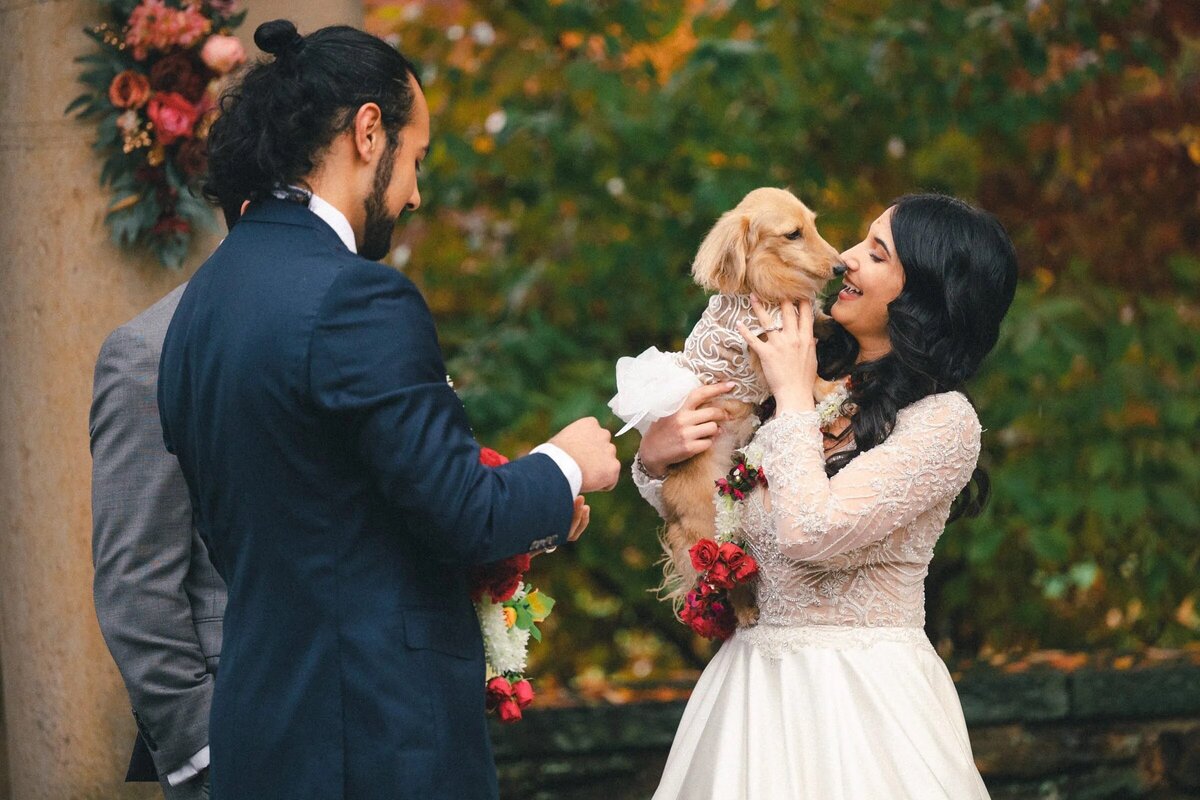 A festive wedding scene with a bride in a long-sleeved lace gown and a groom in a navy suit, lovingly holding a small dog dressed in white.