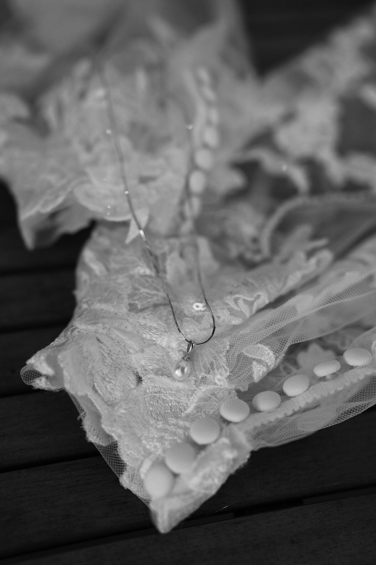 DSC03106