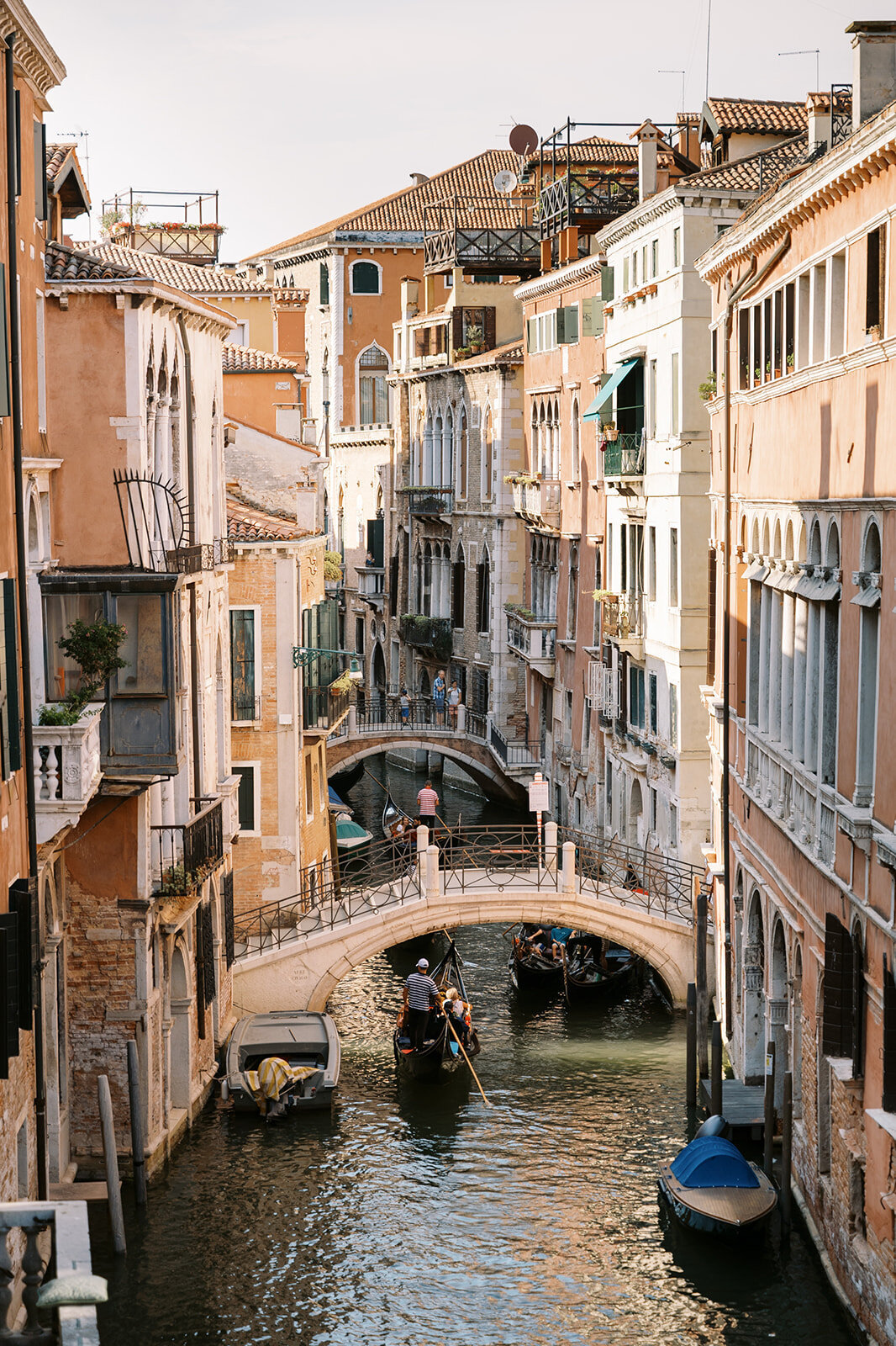 KMW-Rose-Bowman-venice-engagement-session