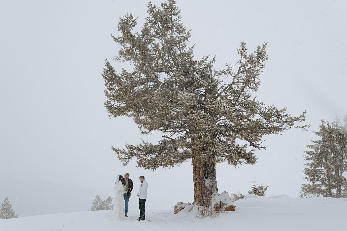 Winter-Elopement-B-T-120