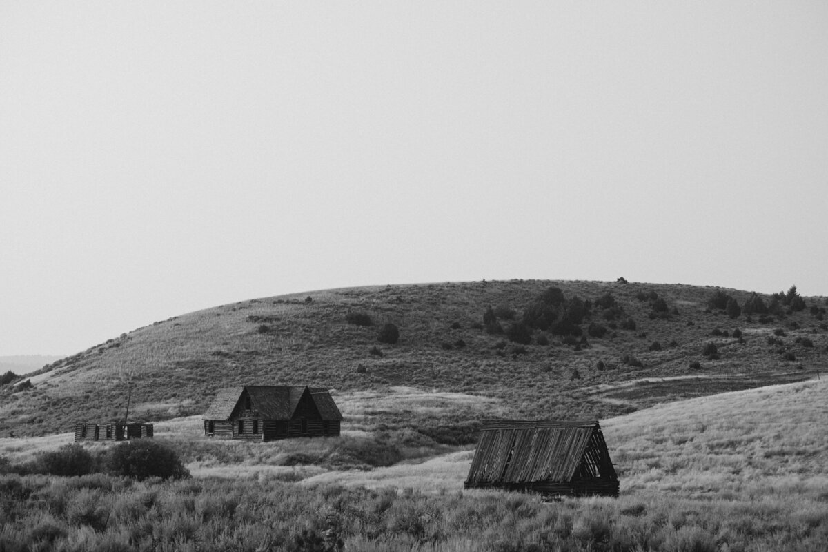 DSC_8741