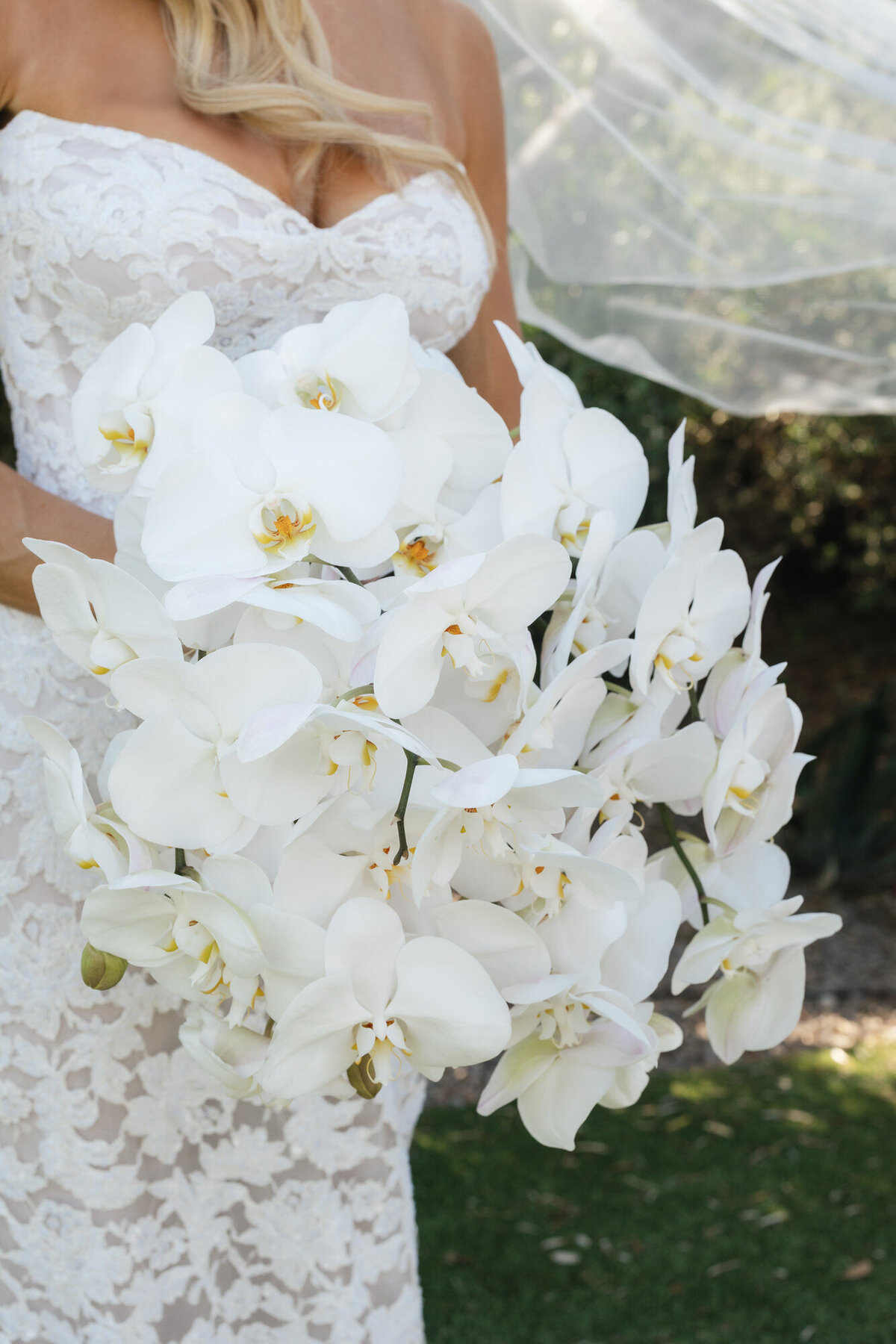 El-Chorro-Chris-Lauren-Wedding-58