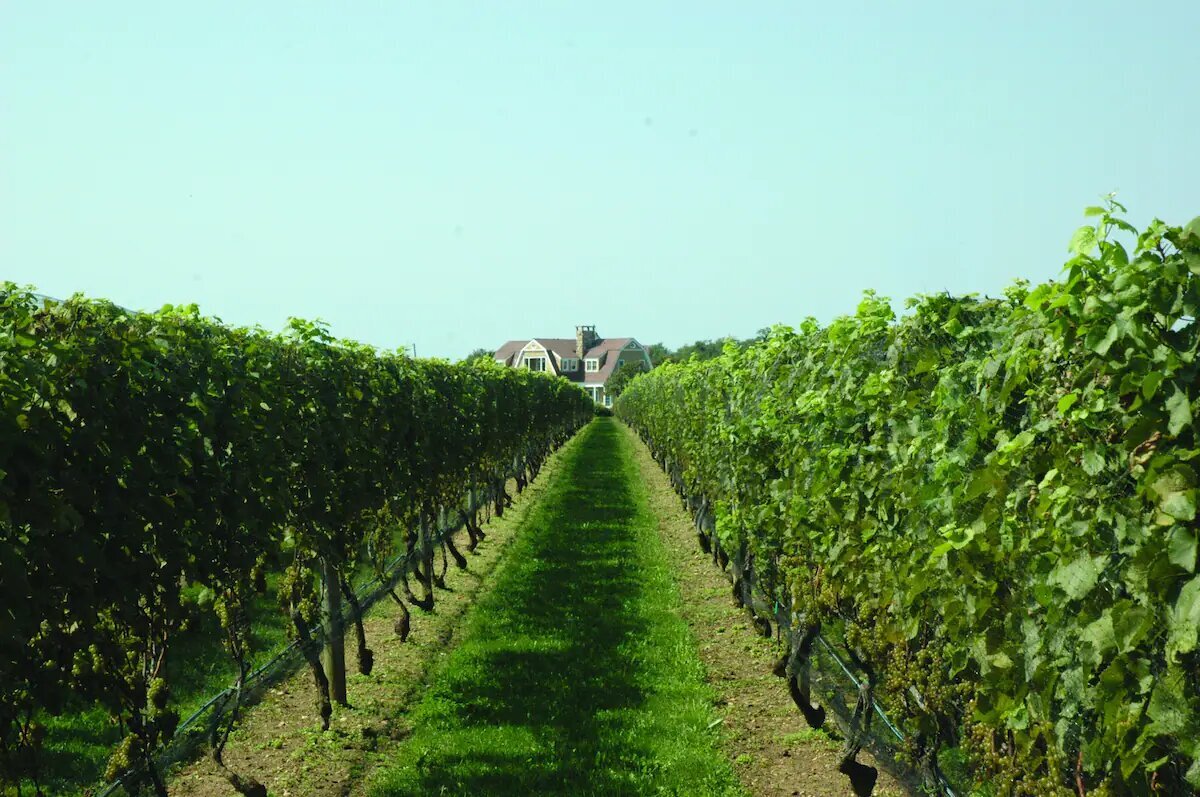 Wisp & Wild Private Estate Weddings Long Island, NY