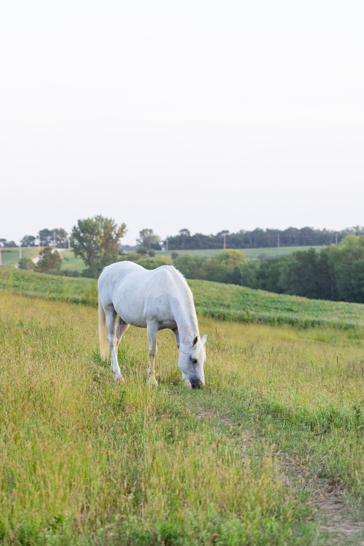 Michelle and Asher family photos (75 of 83)