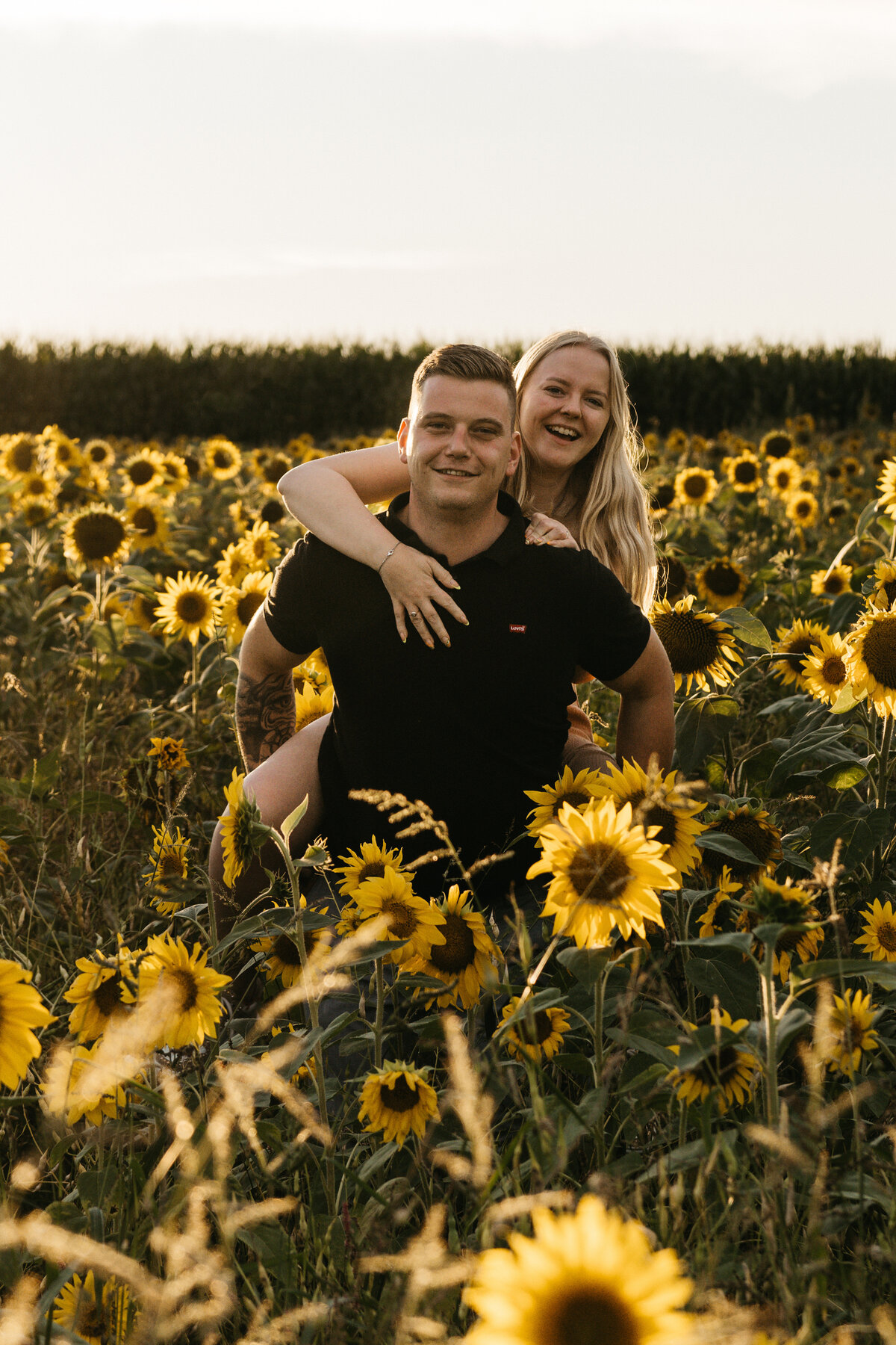 Koppelshoot in zonnenbloemen veld Vlaams-Brabant