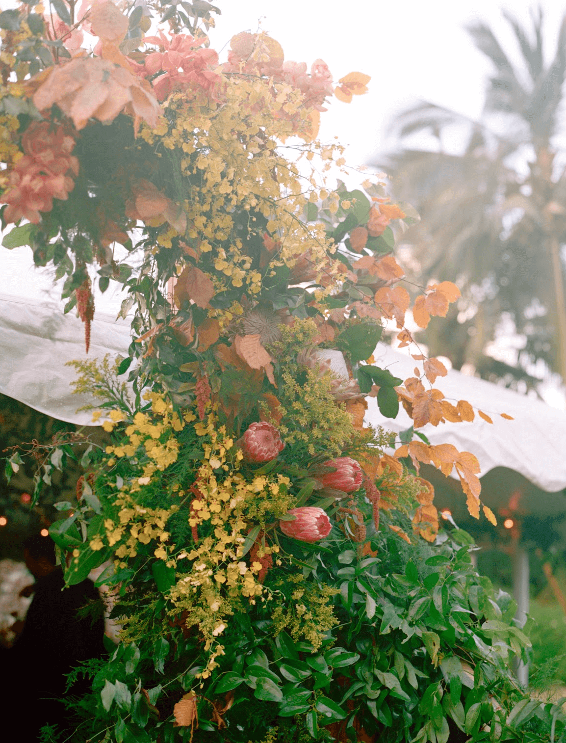 Screenshot 2025-11-25 at 12.06.14 PM