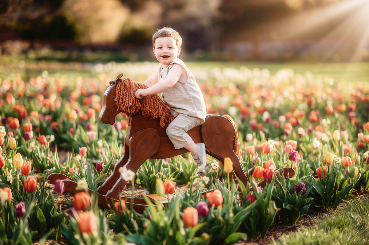 Little boy rides an antique rocking horse in a field of Tulips at Biltmore Estate.