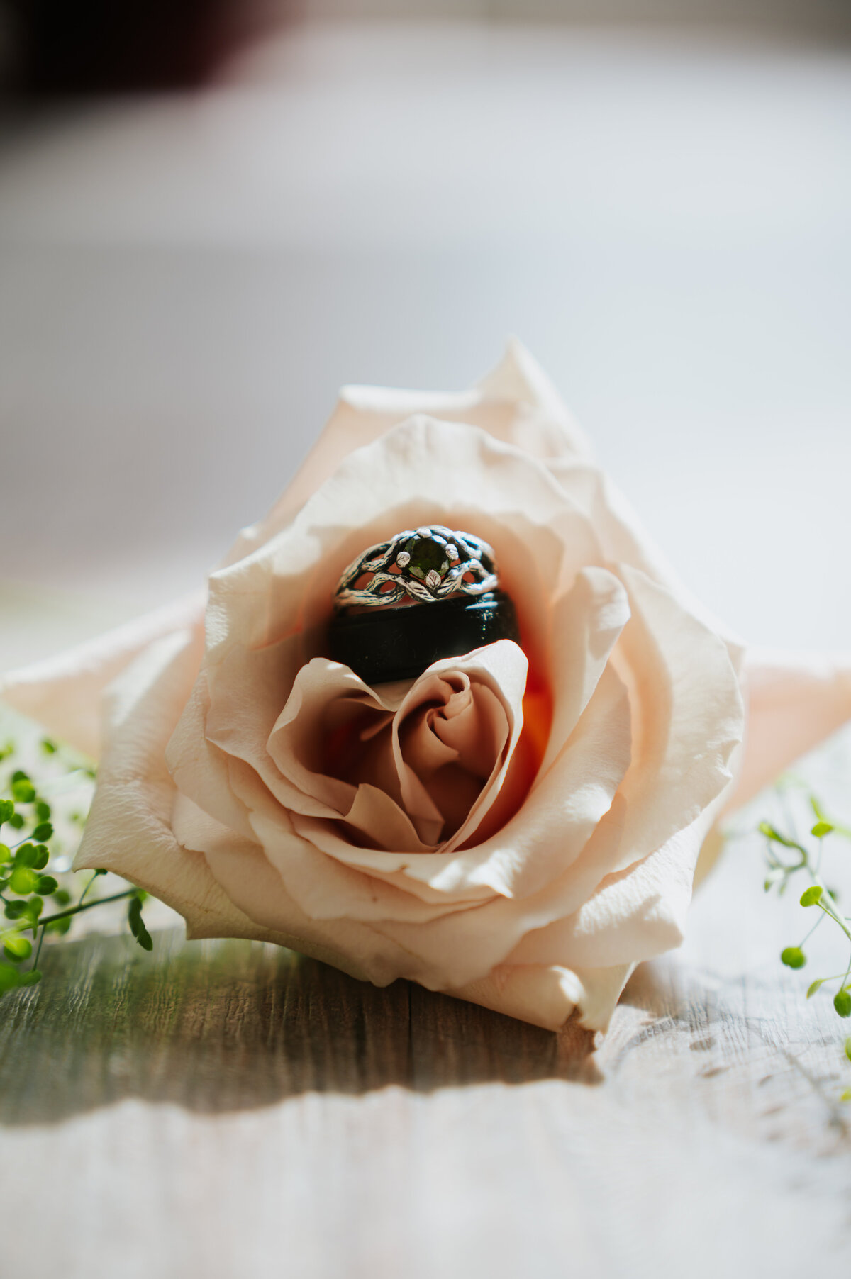 wedding-photos-lizee-gardner-photography-9