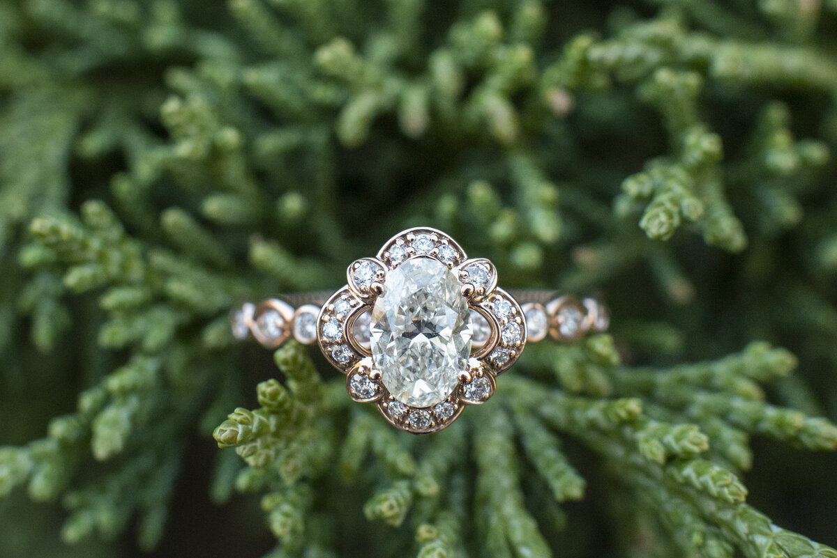 Engagement ring diamonds Asheville, NC proposal Biltmore Estate