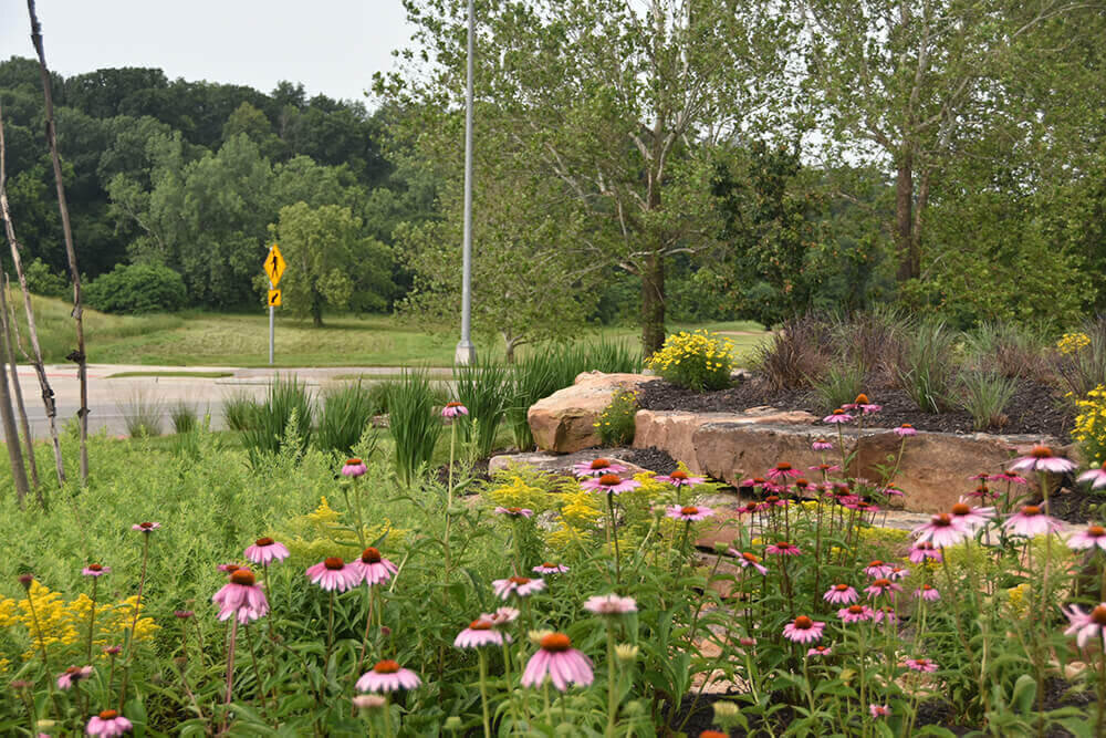Commercial landscape company project in Kansas City