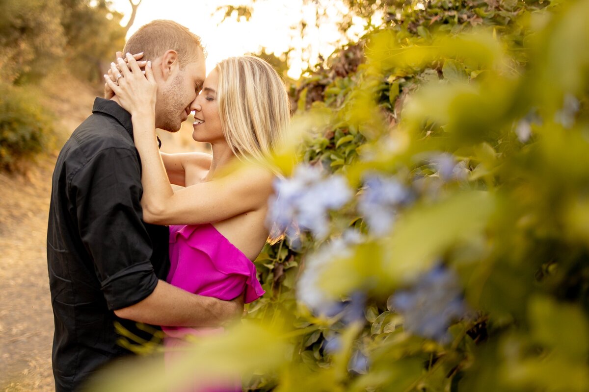 AlisonWestonEngagement-87