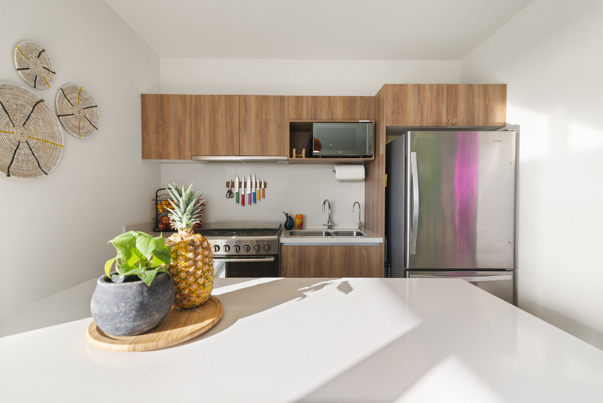 Daylight View of Island & Ktichen Backsplash (Straight View)