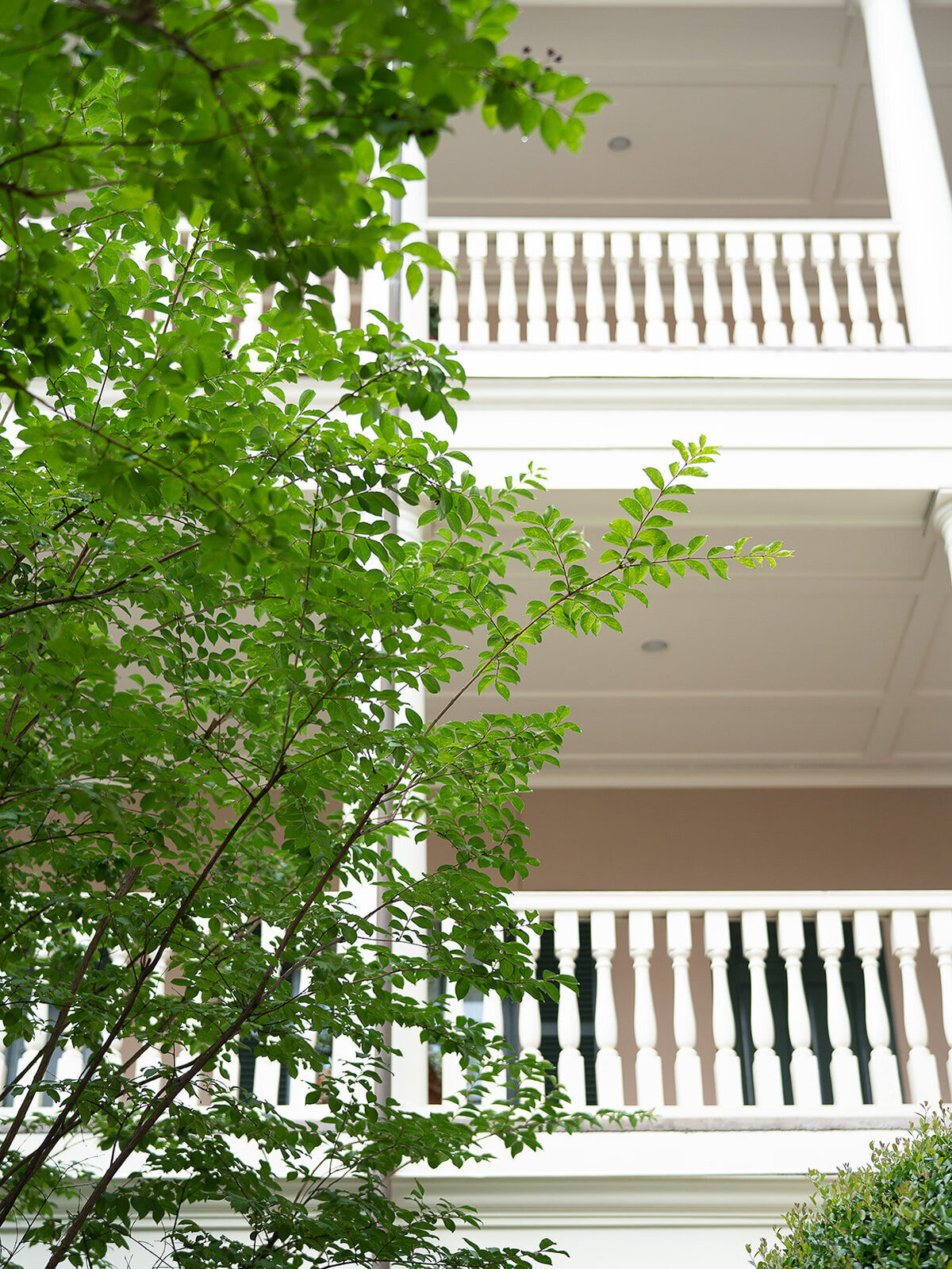 charleston-wedding-photographer-planters-inn-wedding-ceremony12