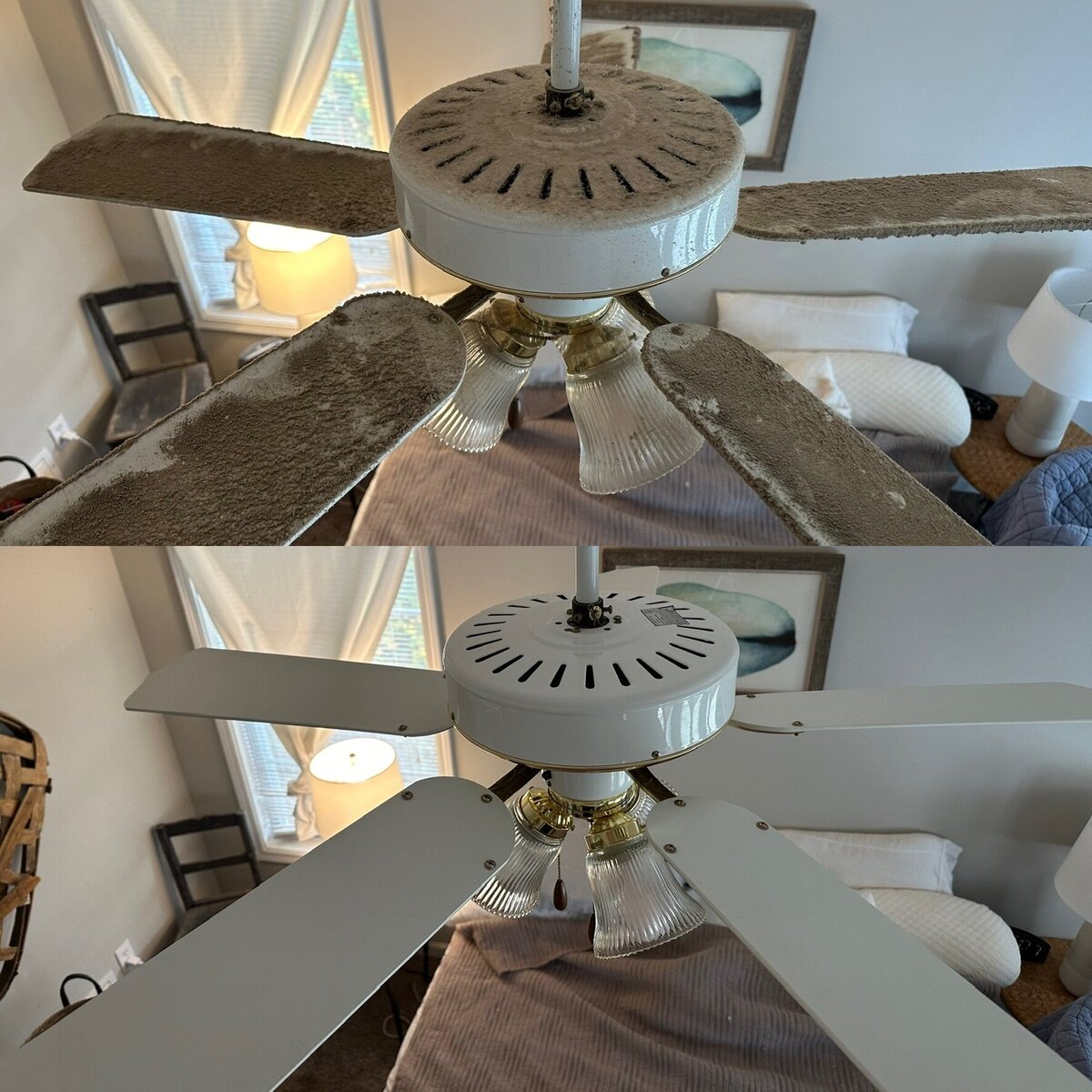 8541DB64-A9B8-4CA0-A00A-F16310B09387_1_102_o