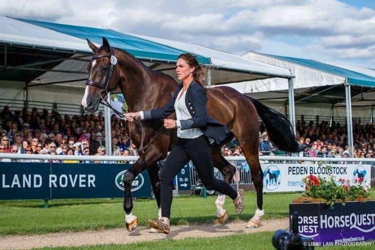 Burghley-vet-jog-768x512