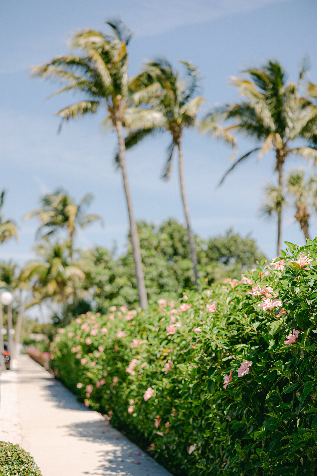 brittany-pannebaker-tampa-florida-destination-wedding-photographer-portfolio57