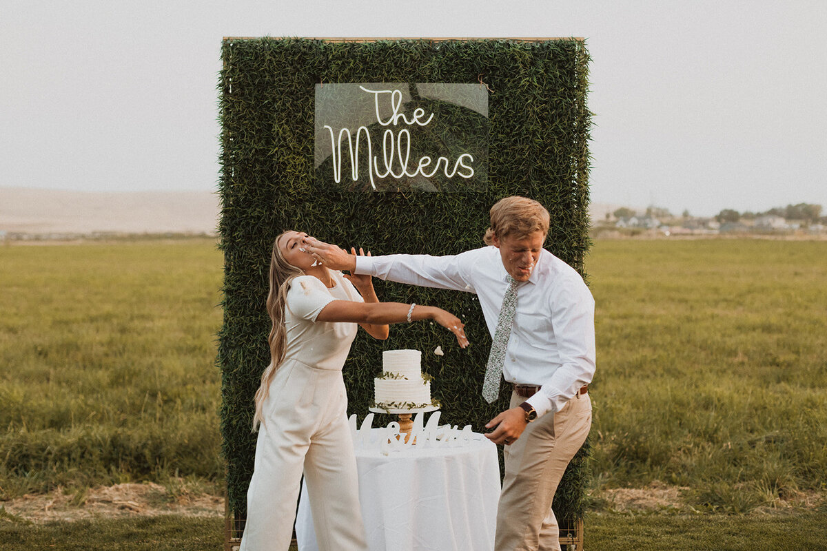Wedding_Cake_Smash_2