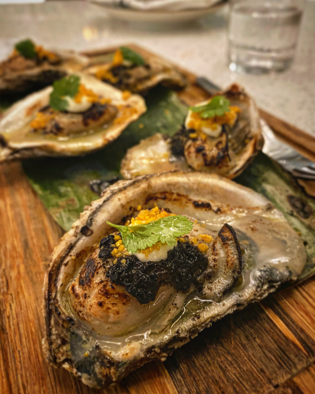 food photography of oysters at lucina eatery in denver for gourmand guide pr