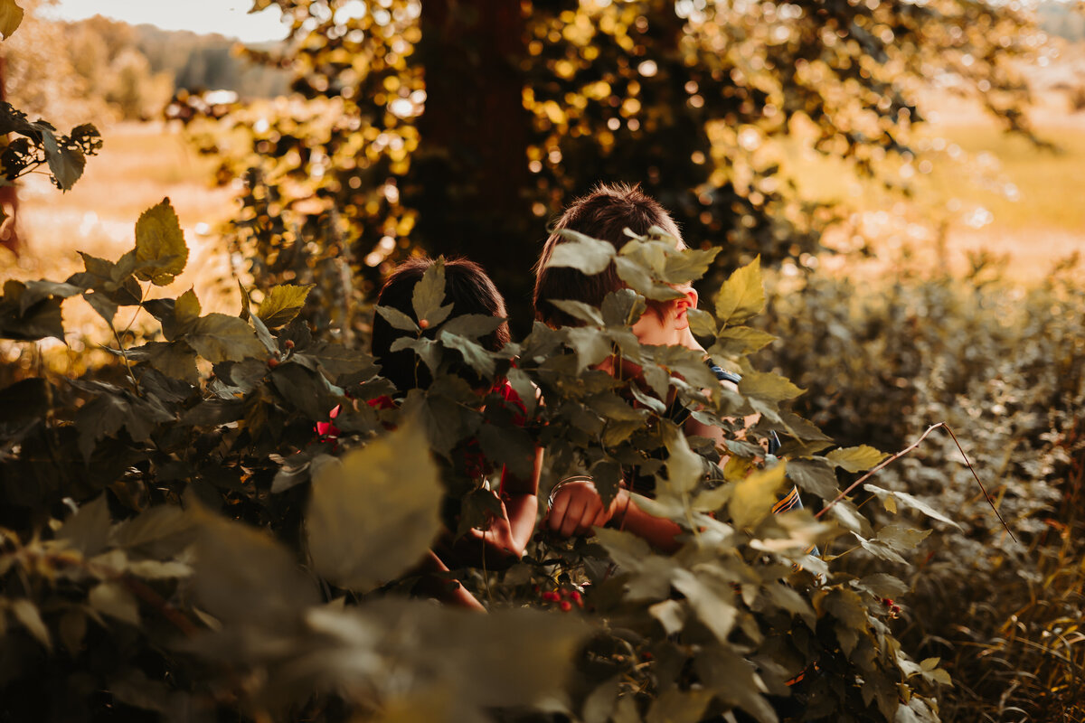 Nature photography - Amanda Nicholle Photography