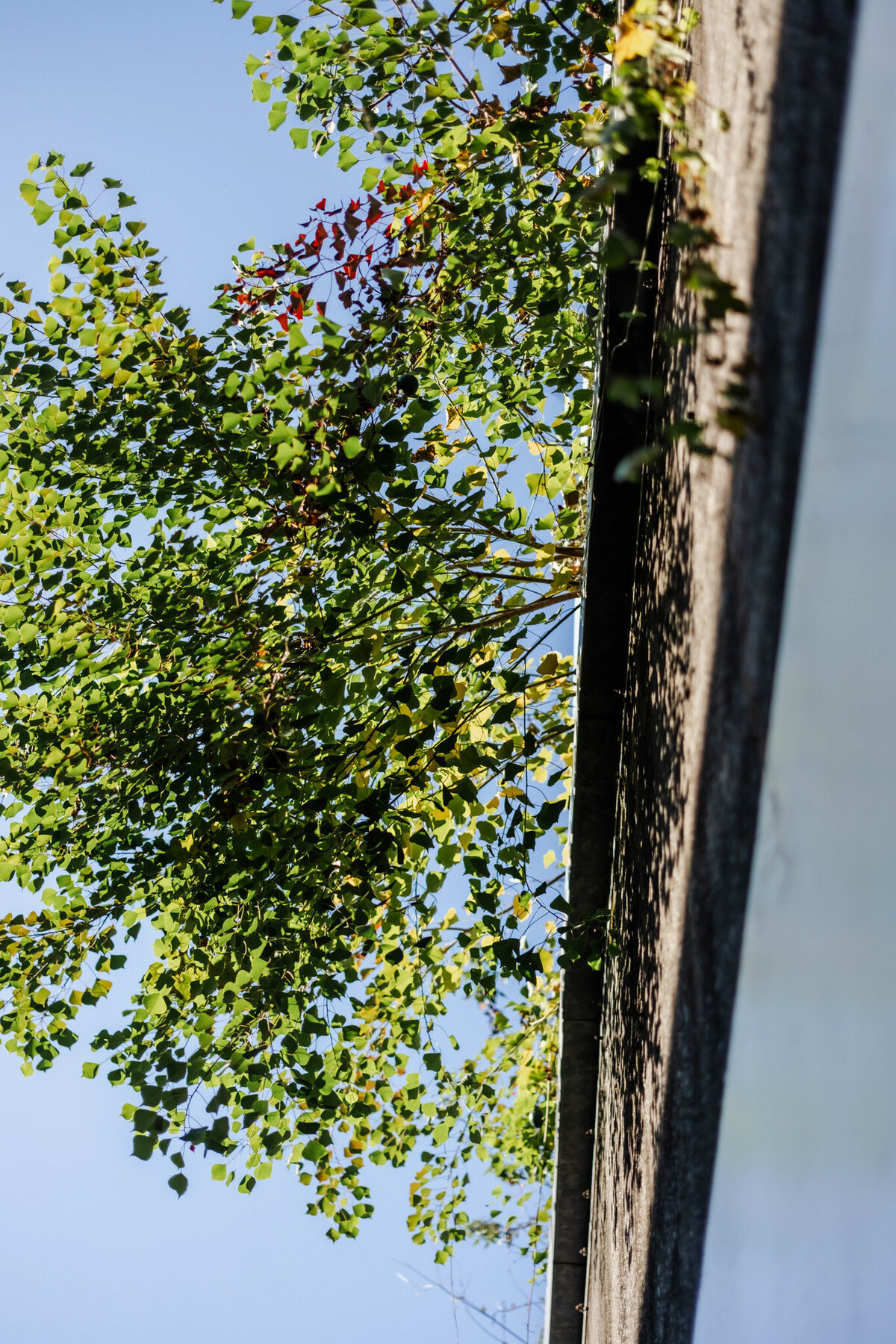 tokyo-profile-photo189