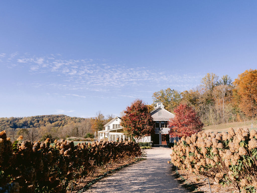 NikkiSanterre_CharlottesvilleLuxuryWeddingPhotographer_PippinHillProposal_Drew&Abby-28