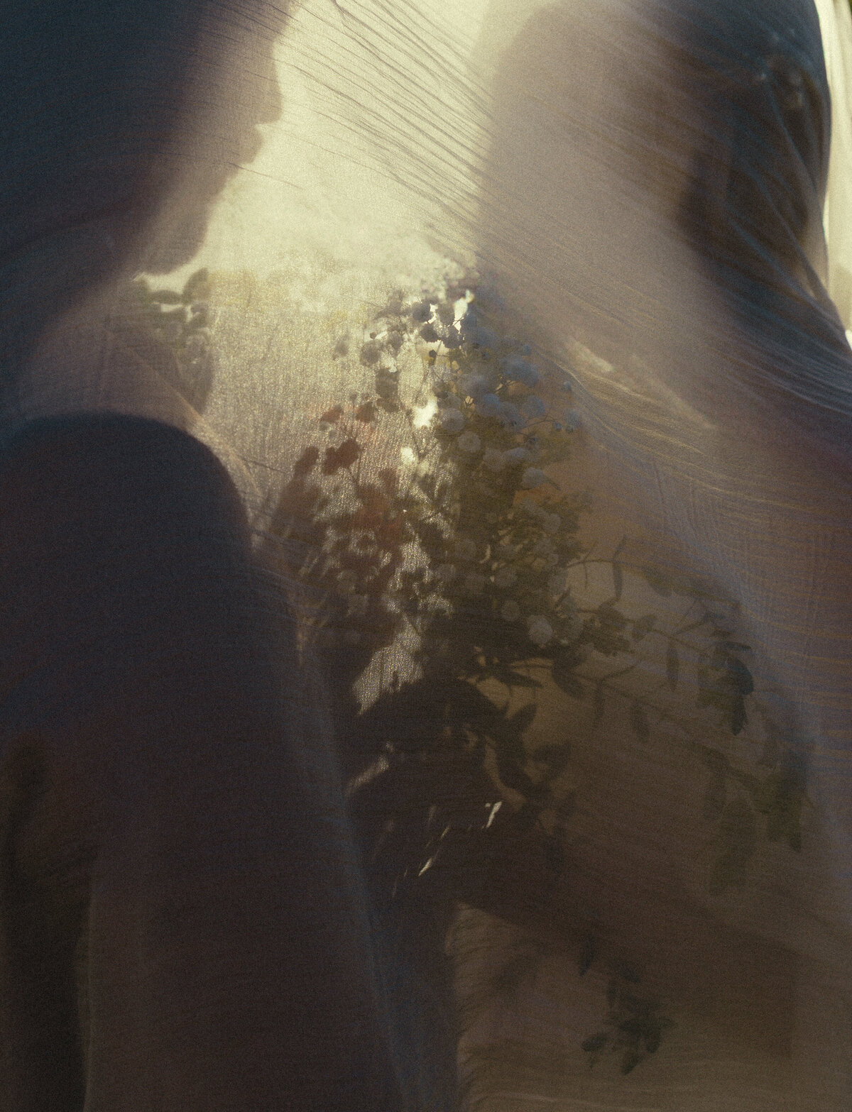ecelopement-366