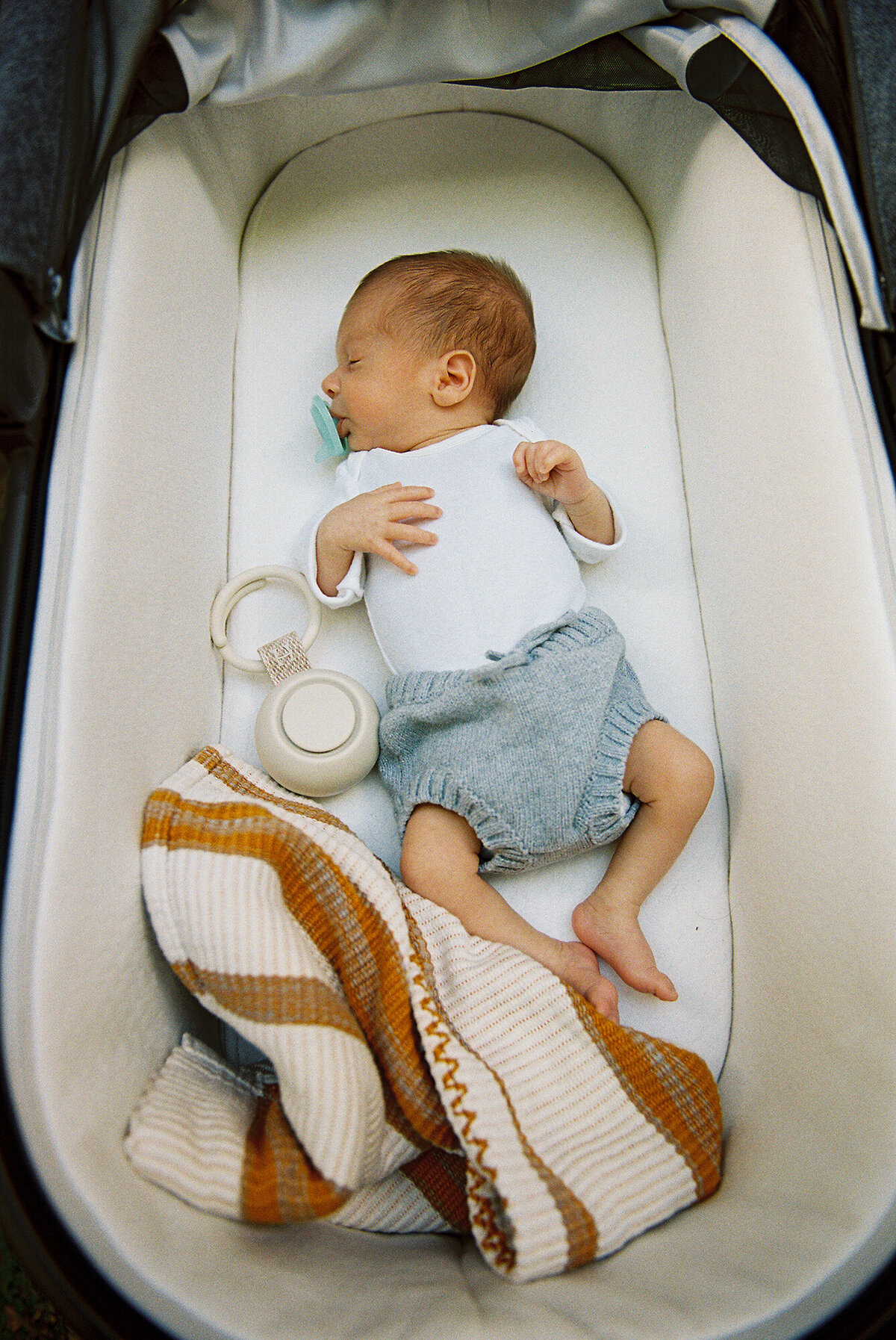 stites080431-R1-E291