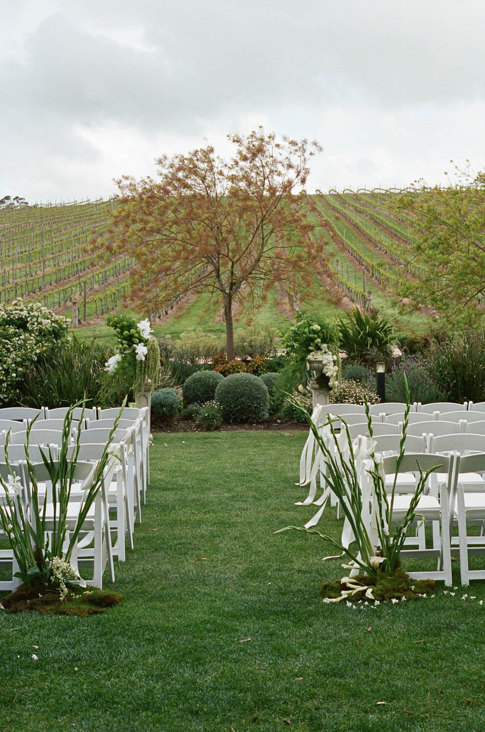 Jaz.and.Alejandro.Anti.Bride.Golding.Wines.wedding-19