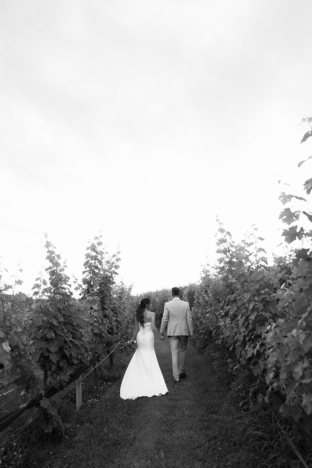 Montalucewinery Editorial Spainwedding Tuscanywedding Atlantaweddingphotographer  (99 of 446)