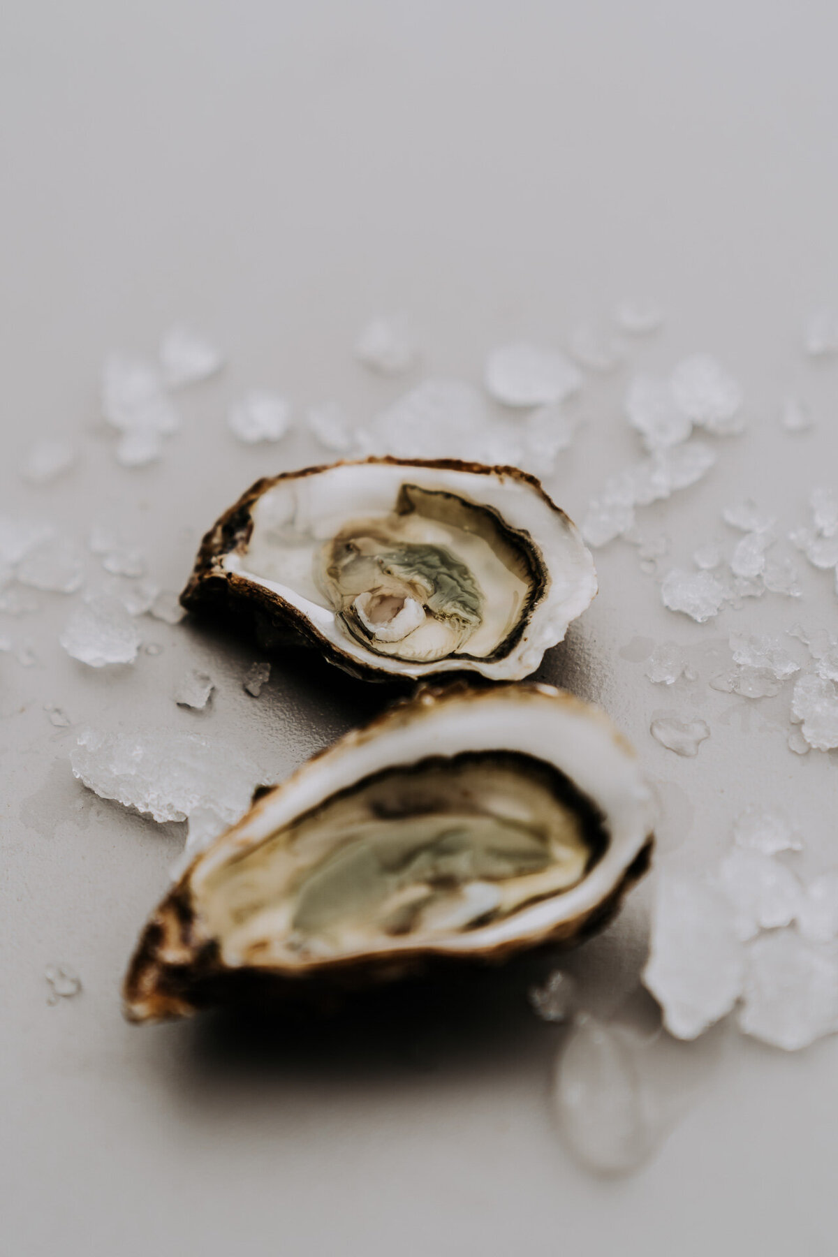 fotograaf-lottebosschieterfotografie-brandingshoot-schiermonnikoog-oesters-demarlijn_30
