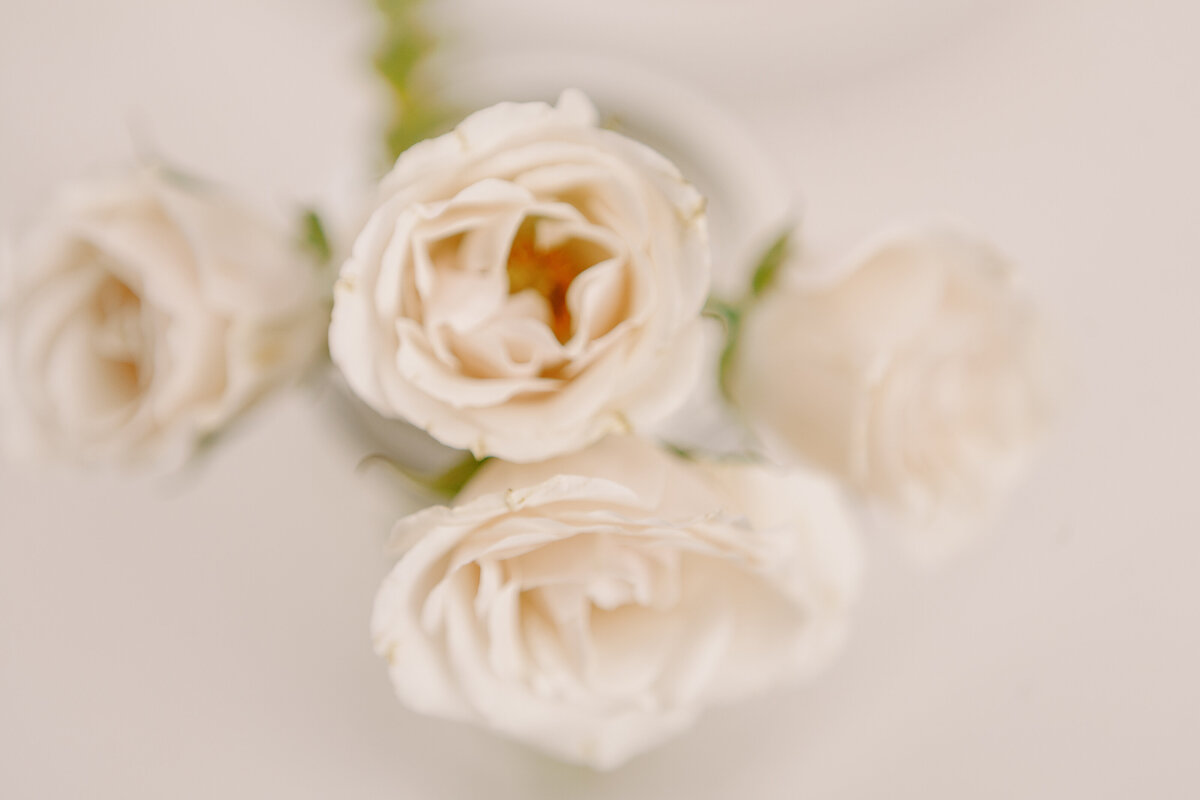 katiejohn_website_0104